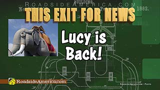 Lucy is Back!