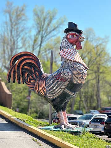 Rooster with hat.